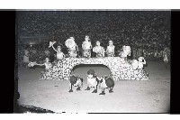 登錄號:KH2002.012.0788藏品圖，第4張