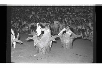 登錄號:KH2002.012.0788藏品圖，第9張