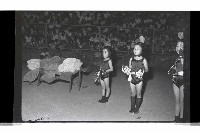 登錄號:KH2002.012.0789藏品圖，第5張