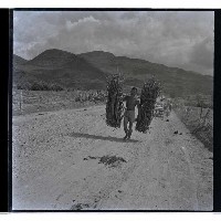 登錄號:KH2002.013.0002藏品圖，第3張