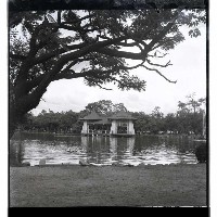 登錄號:KH2002.013.0002藏品圖，第5張