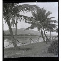 登錄號:KH2002.013.0005藏品圖，第6張