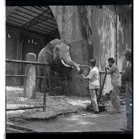 登錄號:KH2002.013.0007藏品圖，第5張