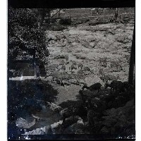 登錄號:KH2002.013.0007藏品圖，第7張