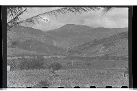 登錄號:KH2002.013.0012藏品圖，第13張