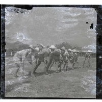 登錄號:KH2002.013.0015藏品圖，第5張