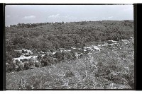 登錄號:KH2002.013.0027藏品圖，第44張