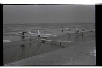 登錄號:KH2002.013.0028藏品圖，第1張