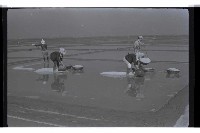 登錄號:KH2002.013.0028藏品圖，第3張