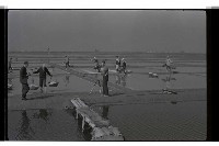 登錄號:KH2002.013.0028藏品圖，第4張