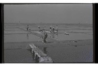 登錄號:KH2002.013.0028藏品圖，第9張