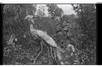 登錄號:KH2002.013.0029藏品圖，第9張