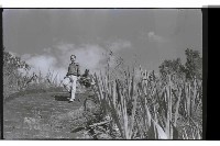 登錄號:KH2002.013.0030藏品圖，第7張