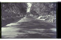 登錄號:KH2002.013.0046藏品圖，第48張