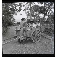 登錄號:KH2002.013.0047藏品圖，第10張