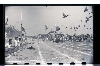 登錄號:KH2002.014.0007藏品圖，第18張