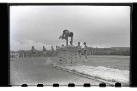 登錄號:KH2002.014.0009藏品圖，第9張