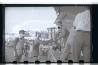 登錄號:KH2002.014.0023藏品圖，第24張