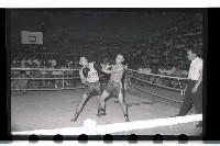 登錄號:KH2002.014.0026藏品圖，第15張