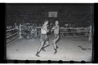 登錄號:KH2002.014.0026藏品圖，第16張