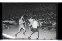 登錄號:KH2002.014.0026藏品圖，第24張