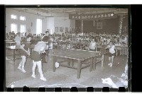 登錄號:KH2002.014.0027藏品圖，第14張