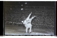 登錄號:KH2002.014.0033藏品圖，第13張