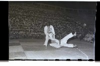 登錄號:KH2002.014.0033藏品圖，第15張