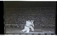 登錄號:KH2002.014.0033藏品圖，第16張