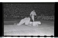 登錄號:KH2002.014.0033藏品圖，第21張