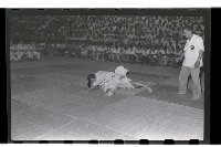 登錄號:KH2002.014.0033藏品圖，第26張