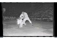 登錄號:KH2002.014.0033藏品圖，第30張