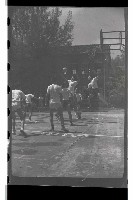 登錄號:KH2002.014.0034藏品圖，第14張