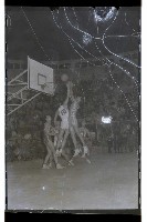 登錄號:KH2002.014.0041藏品圖，第29張