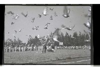 登錄號:KH2002.014.0045藏品圖，第5張