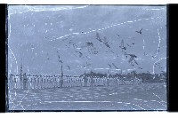 登錄號:KH2002.014.0046藏品圖，第10張