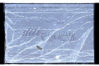 登錄號:KH2002.014.0046藏品圖，第20張