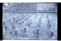 登錄號:KH2002.014.0049藏品圖，第16張