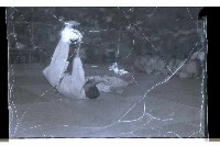 登錄號:KH2002.014.0057藏品圖，第23張