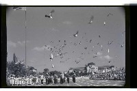 登錄號:KH2002.014.0062藏品圖，第13張