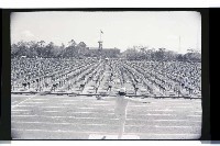 登錄號:KH2002.014.0062藏品圖，第18張