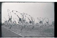 登錄號:KH2002.014.0065藏品圖，第28張