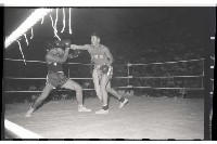 登錄號:KH2002.014.0074藏品圖，第9張