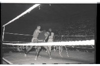 登錄號:KH2002.014.0074藏品圖，第10張