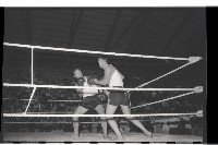 登錄號:KH2002.014.0074藏品圖，第17張