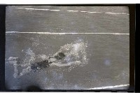 登錄號:KH2002.014.0076藏品圖，第39張