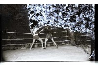 登錄號:KH2002.014.0084藏品圖，第3張