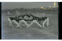 登錄號:KH2002.014.0086藏品圖，第13張