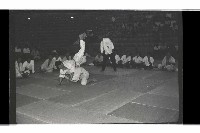 登錄號:KH2002.014.0093藏品圖，第3張