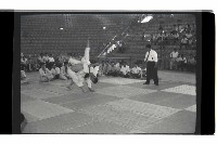 登錄號:KH2002.014.0093藏品圖，第11張